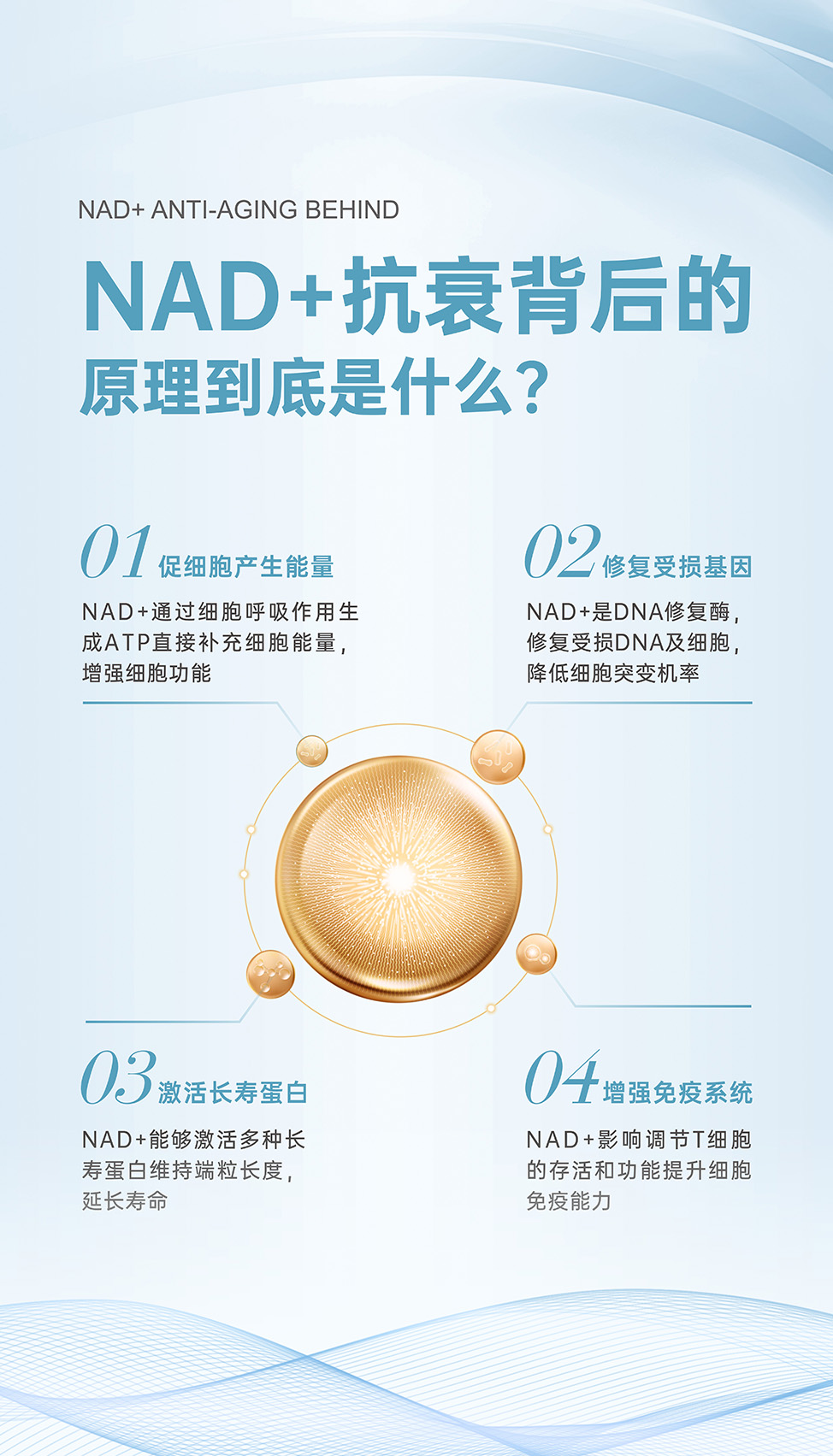 抗衰原理1 拷贝.jpg