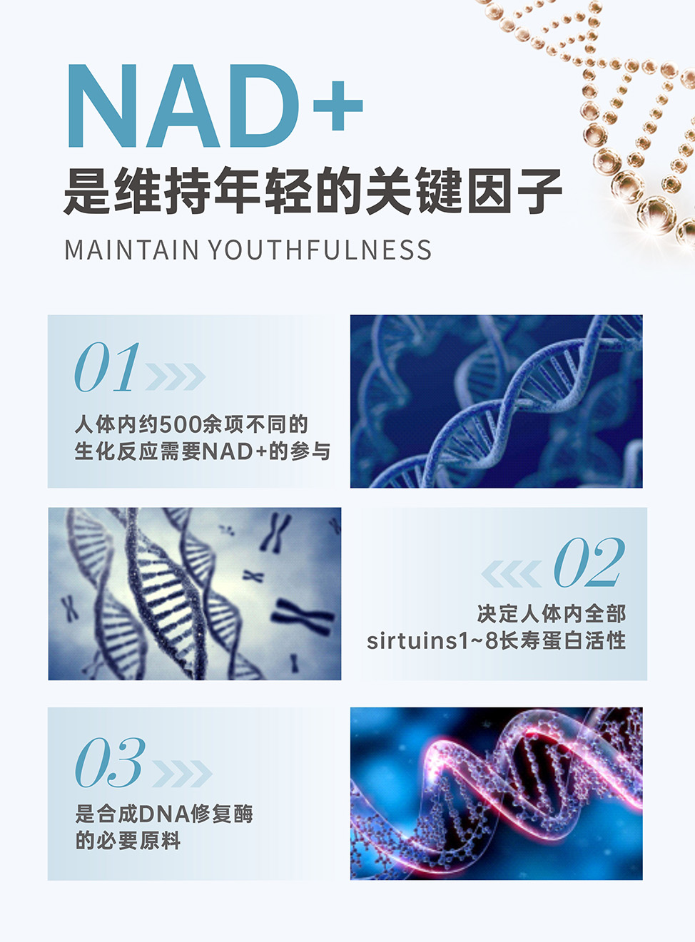 维持年轻 拷贝.jpg
