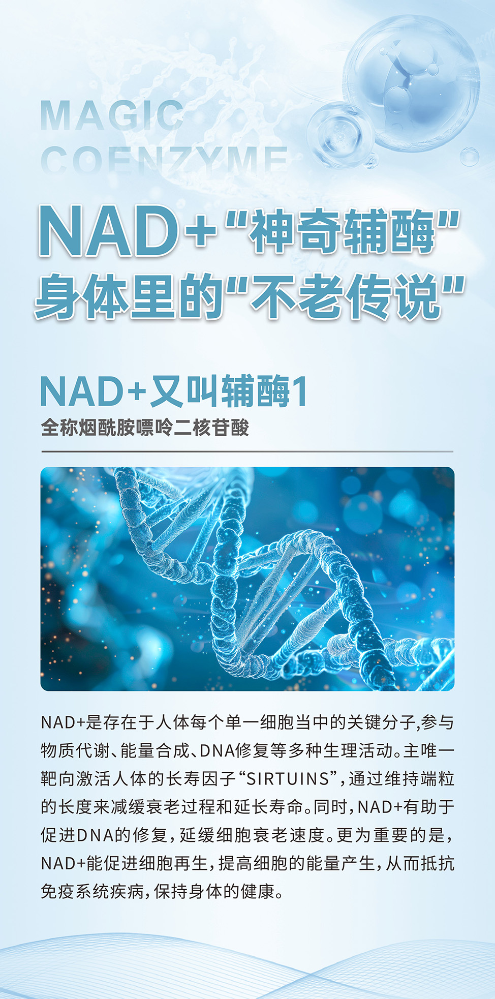 1 拷贝.jpg