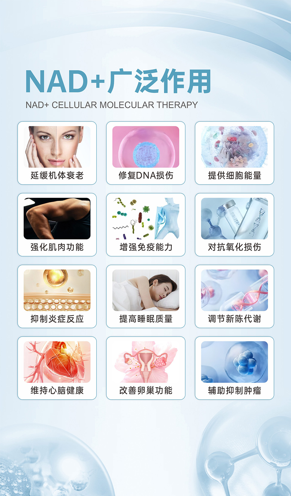 广泛 拷贝.jpg