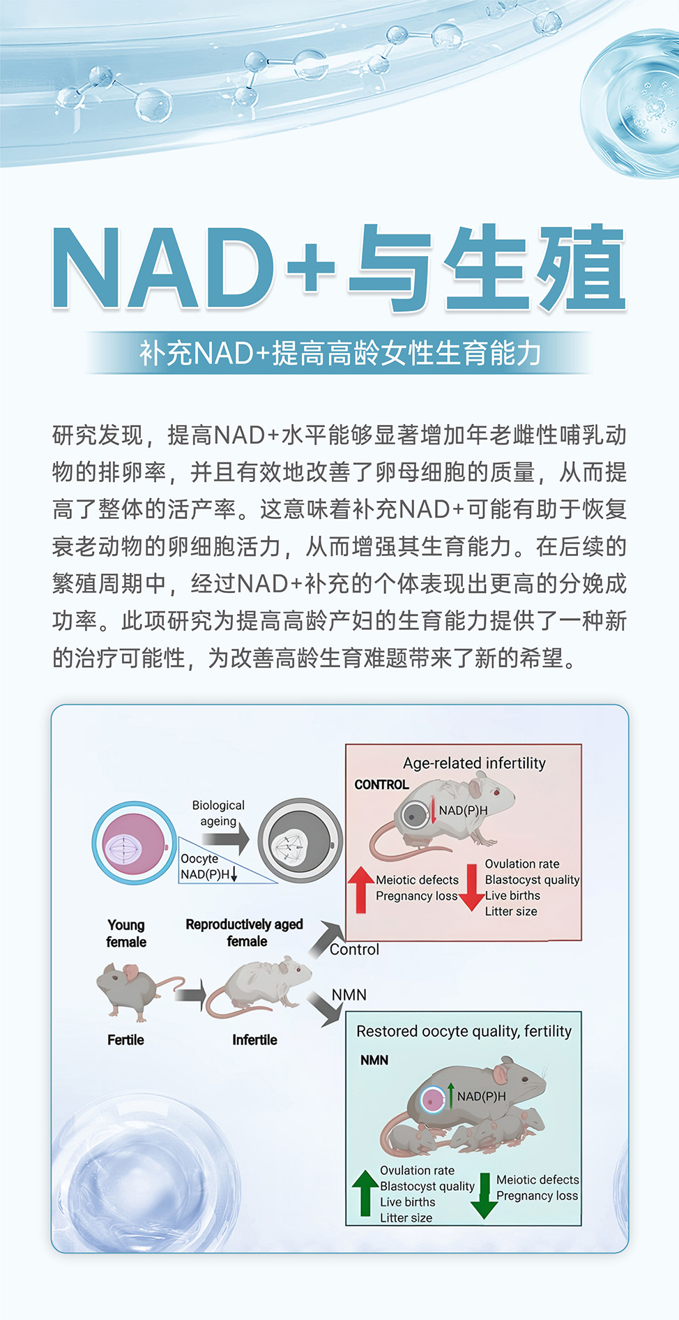 微1-1 拷贝.jpg